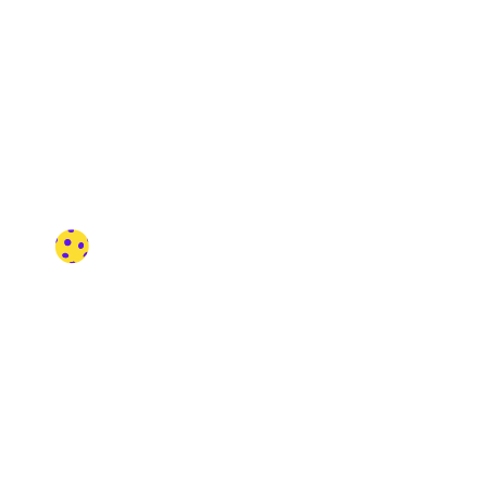 Paddle Direct Club. Subscription pickleball paddles.